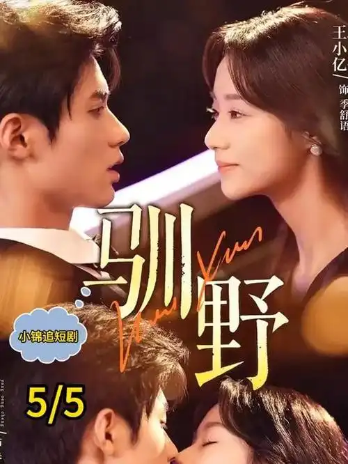 回声调查局科幻悬疑剧在线观看